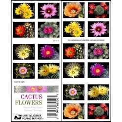 بوکلت با پنل دوطرفه گلها  - گل های کاکتوس - خودچسب - آمریکا 2019 قیمت